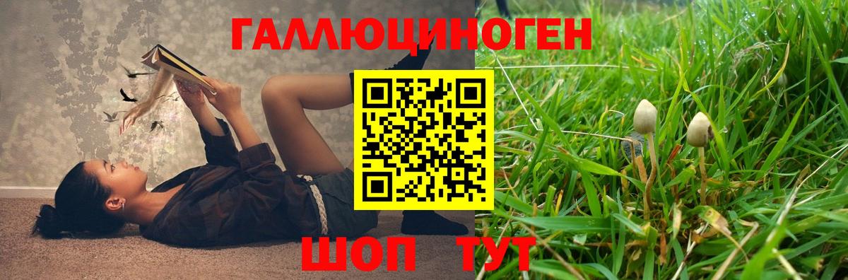 Сердобск  Галлюциногенные грибы прущие грибы  Вход с VPN 